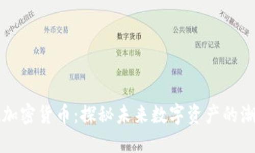 朋克猴加密货币:探秘未来数字资产的潮流趋势