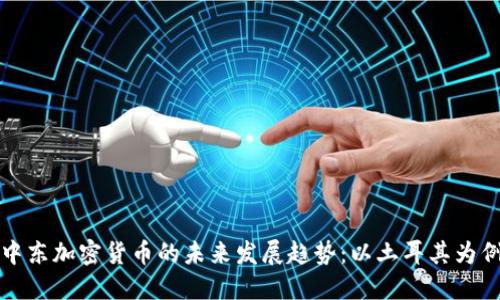 中东加密货币的未来发展趋势：以土耳其为例