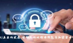 bianoti未来的发展：能聊天的比特币钱包与加密货