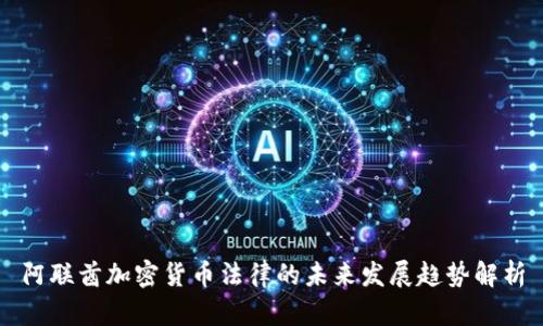 阿联酋加密货币法律的未来发展趋势解析