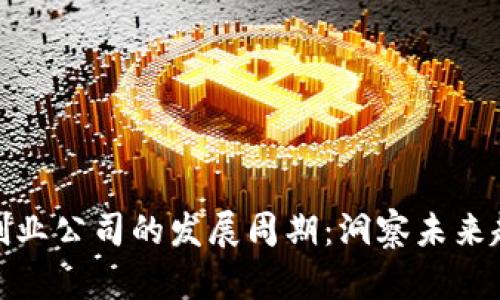 加密货币创业公司的发展周期:洞察未来趋势与挑战