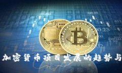 未来加密货币项目发展的趋势与展望