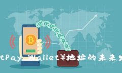 比太钱包（BitPay Wallet）地址的未来发展趋势解析